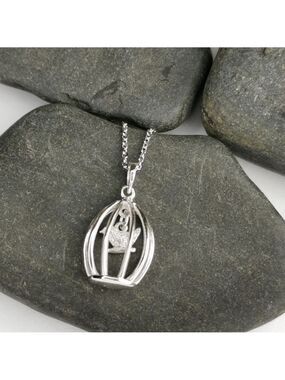 Bird in a Cage Sterling Silver CZ pendant necklace